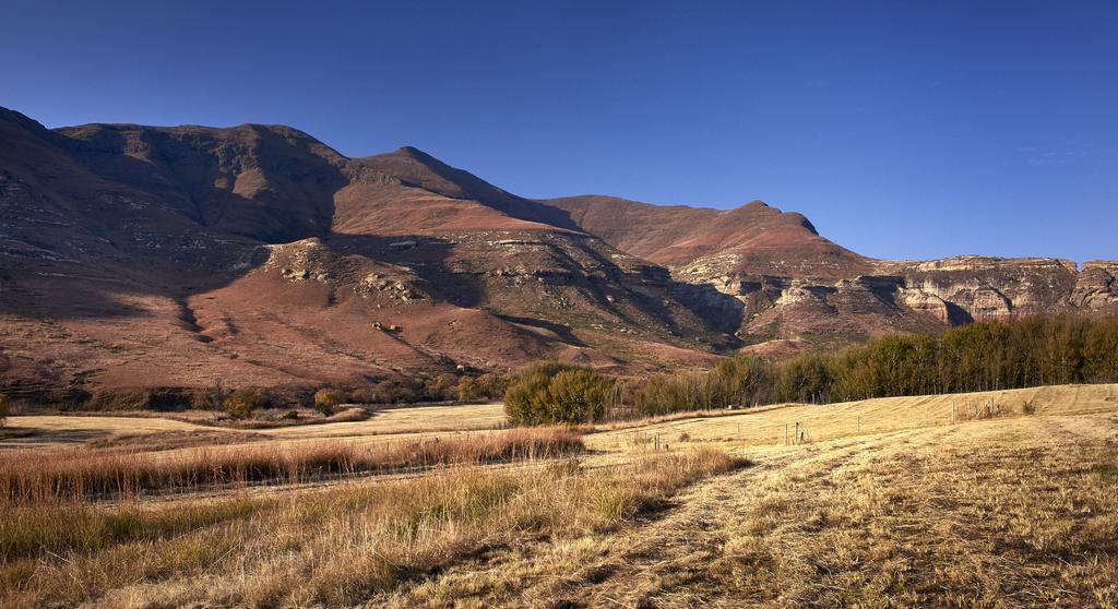 Dynasty Red Mountain Ranch Lägenhet Clarens Exteriör bild