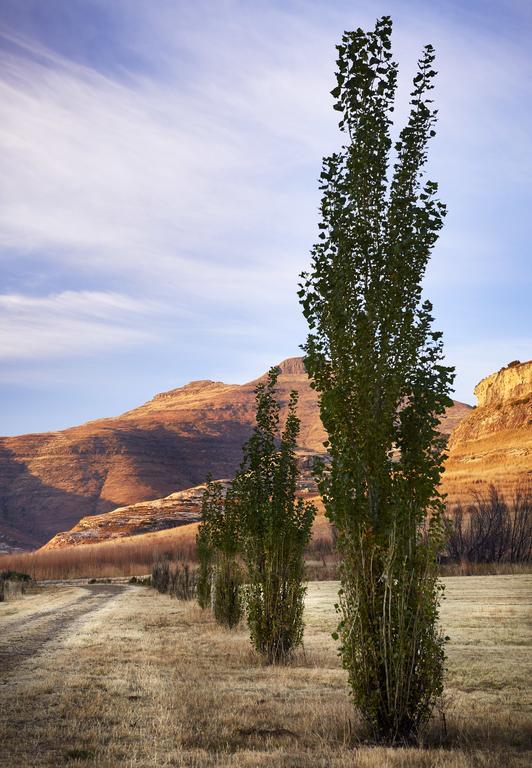 Dynasty Red Mountain Ranch Lägenhet Clarens Exteriör bild