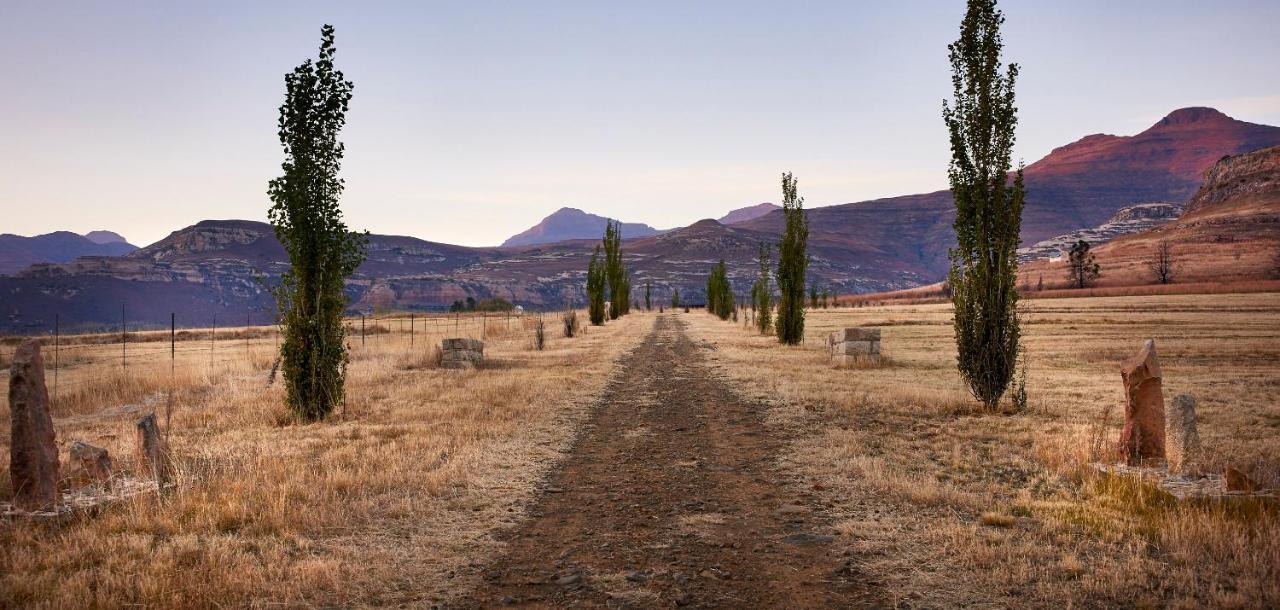 Dynasty Red Mountain Ranch Lägenhet Clarens Exteriör bild