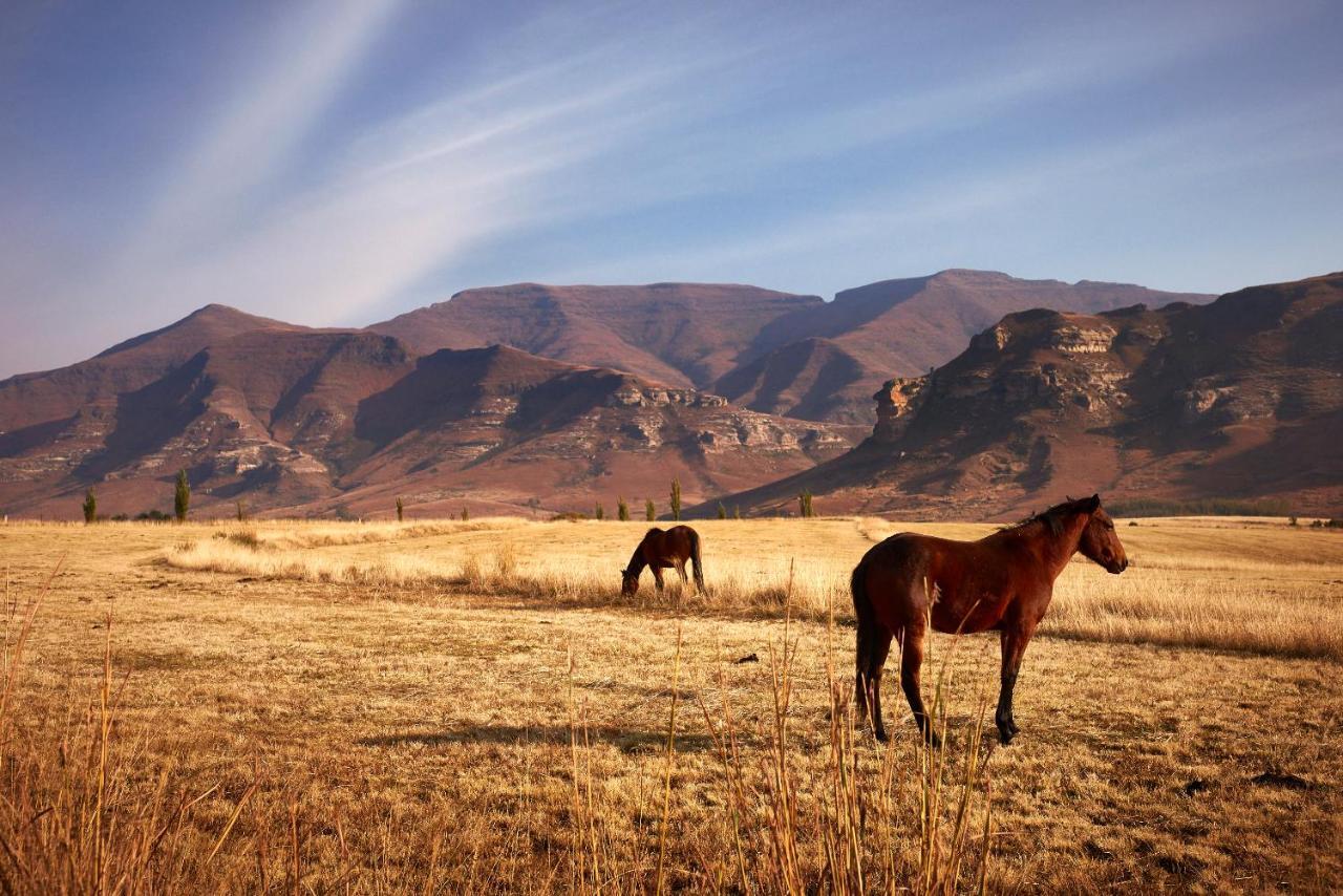 Dynasty Red Mountain Ranch Lägenhet Clarens Exteriör bild