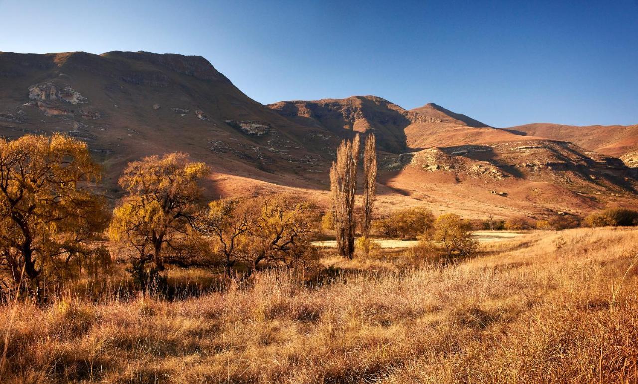 Dynasty Red Mountain Ranch Lägenhet Clarens Exteriör bild